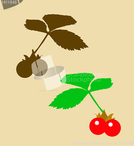 Image of vector drawing