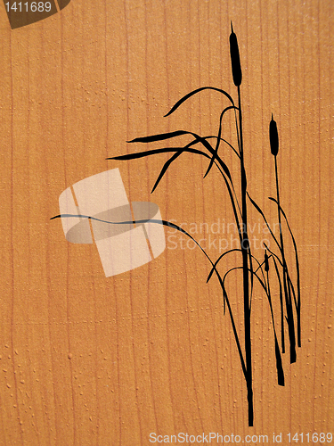 Image of vector drawing