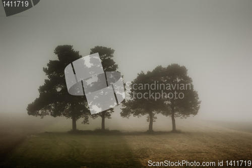 Image of nebel