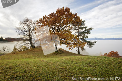 Image of autumn scenery