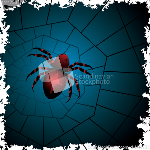 Image of spider on the web