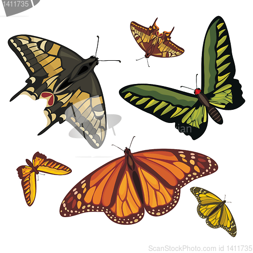 Image of different realistic butterflies