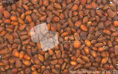 Image of Nuts. 