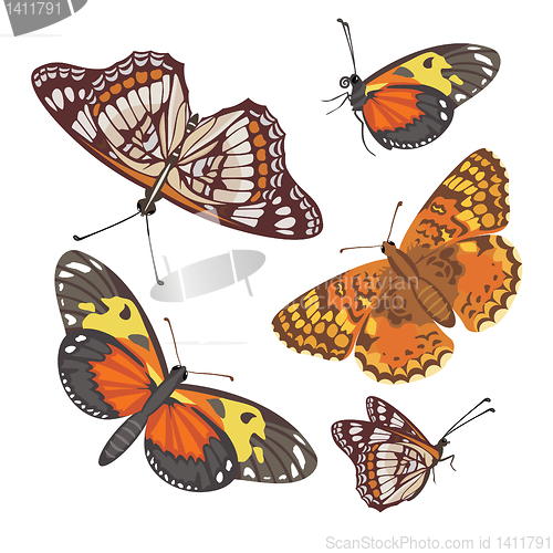 Image of different realistic butterflies