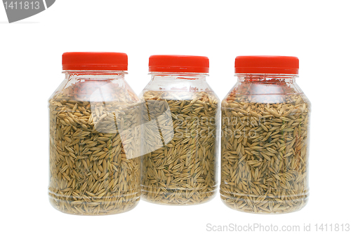 Image of Oats grain in transparent packing.