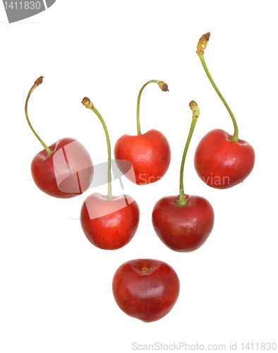 Image of Sweet cherry fruits.