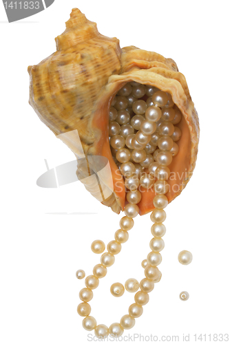 Image of Pearls in a sea bowl.
