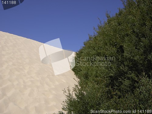 Image of sand dune