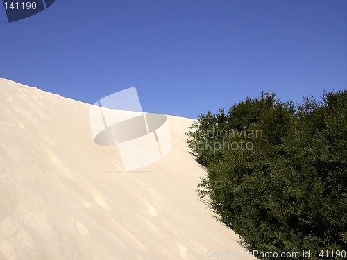 Image of sand dune