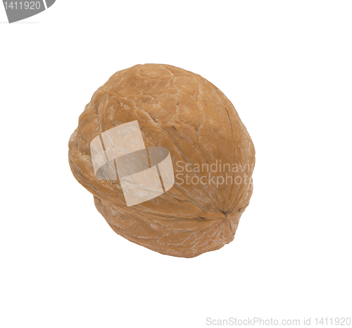 Image of Walnut.