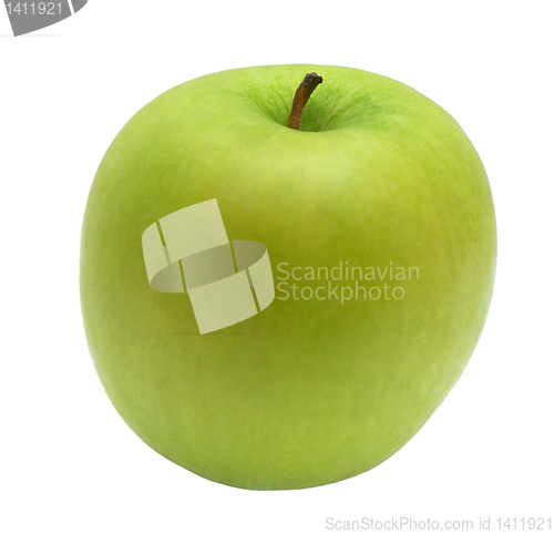 Image of Apple.