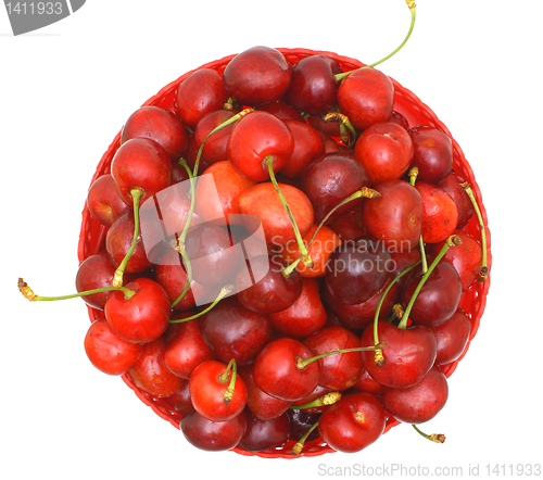 Image of Sweet cherry fruits.