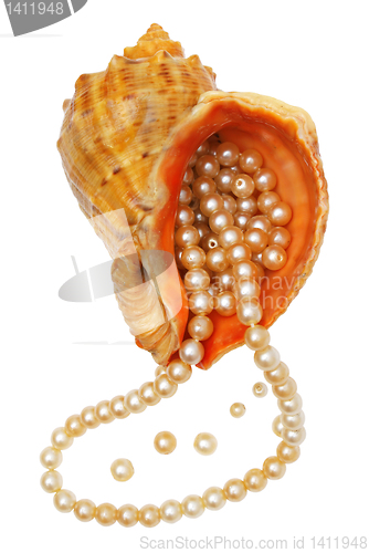 Image of Pearls in a sea bowl.
