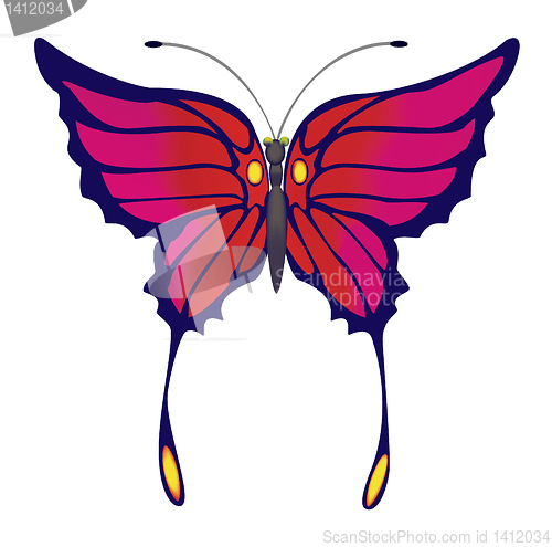 Image of Butterfly.