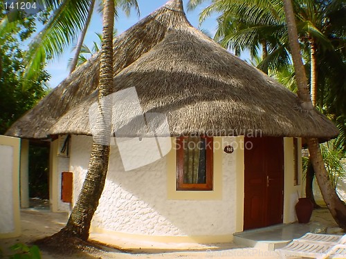 Image of maldive hut