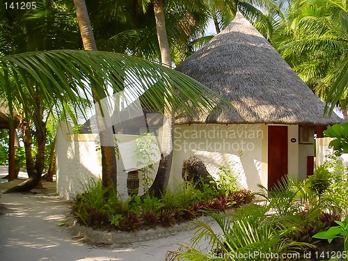 Image of maldive hut