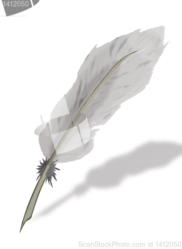 Image of Goose feather.