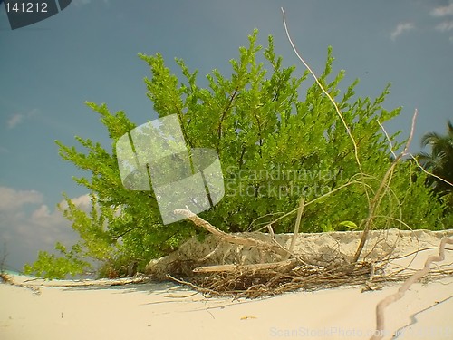 Image of beach scenery