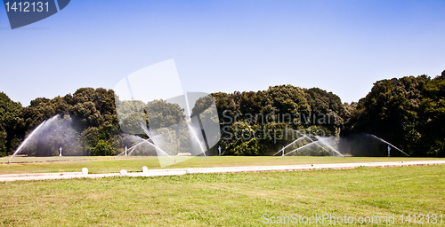 Image of Luxury garden: irrigation