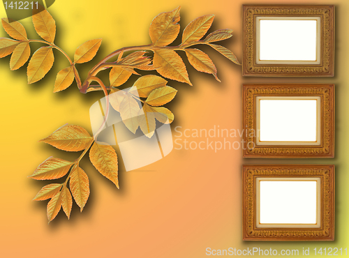 Image of frames on color background