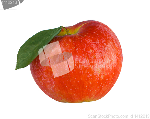 Image of red apple