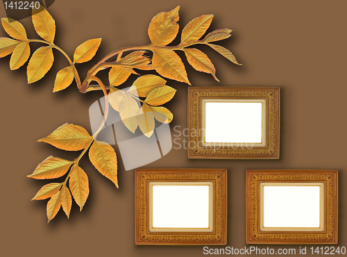 Image of frames on color background