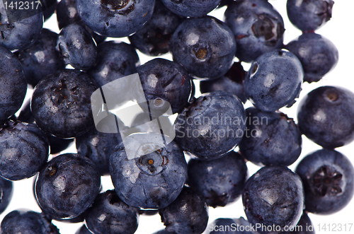 Image of Blueberries