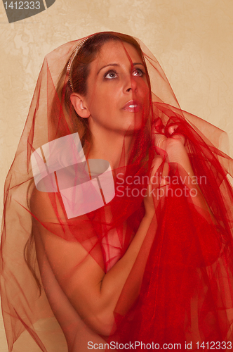 Image of Red tulle