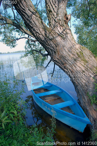 Image of Boat near willow 