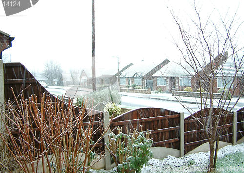 Image of winter scene