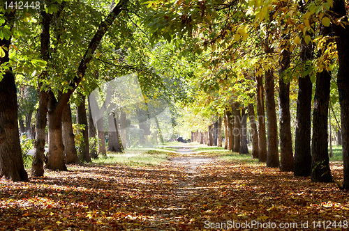 Image of park landscape in autumn 