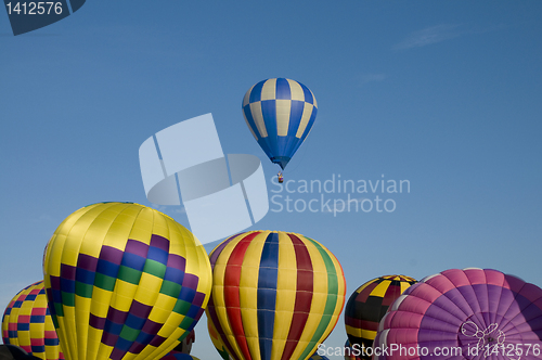 Image of Hot-air balloon ascending over other inflating ones