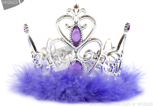 Image of Purple crown