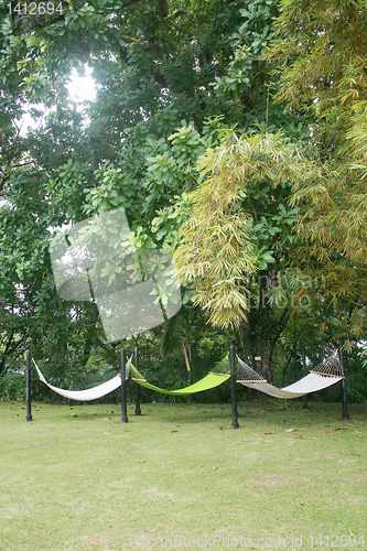 Image of Hammocks out on sunny yard near forest
