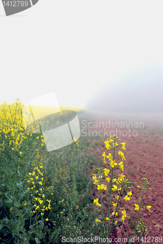 Image of Lithuanian landscape 1 