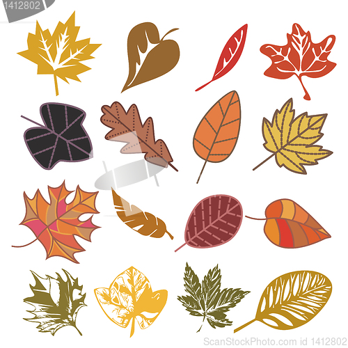 Image of set of autumn leaves