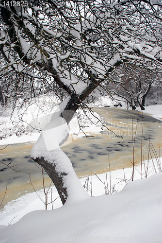 Image of Winter river