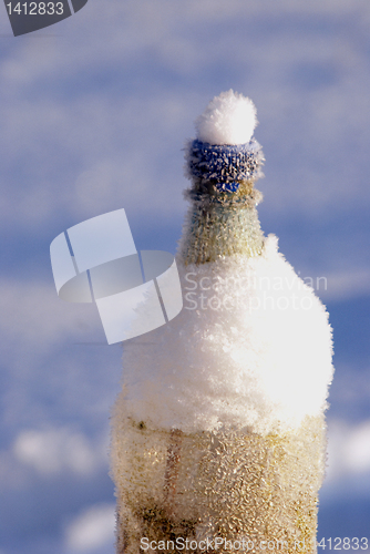 Image of Winter bottle 