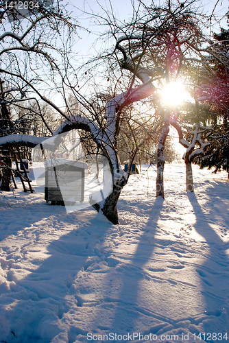 Image of Garden in winter 