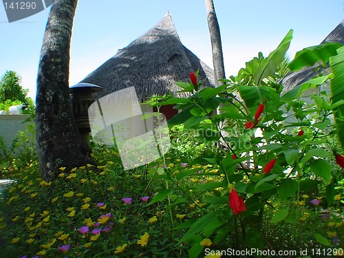 Image of maldivian hut