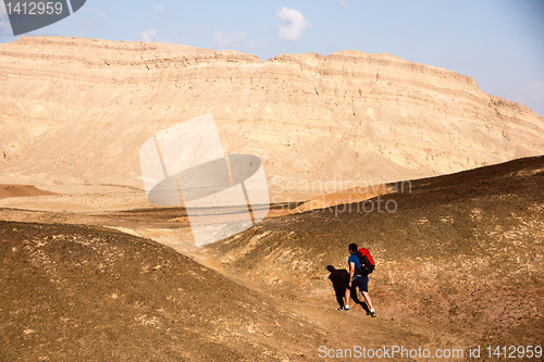 Image of Desert landscapes