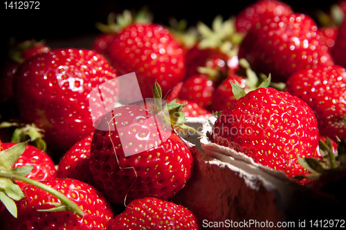 Image of Strawberry