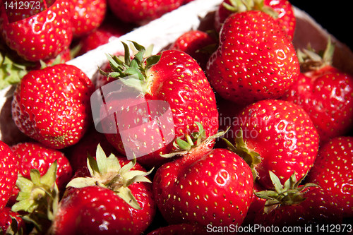 Image of Strawberry