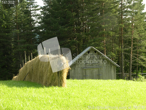 Image of hay