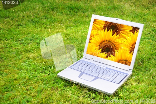 Image of flowers and laptop