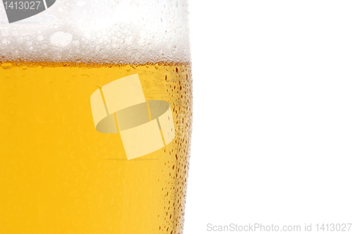 Image of glass of beer isolated on white background