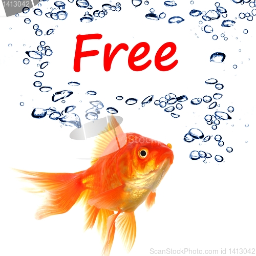 Image of free