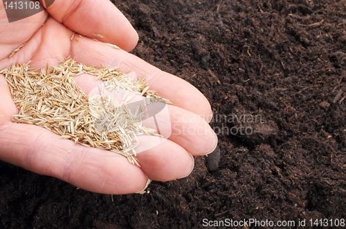 Image of sowing hand