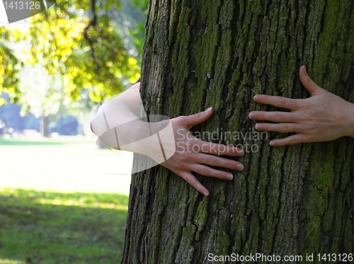 Image of ecology