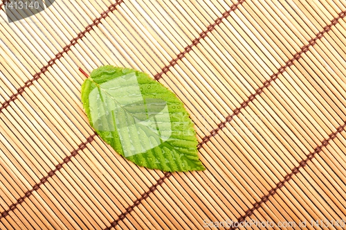 Image of leaf
